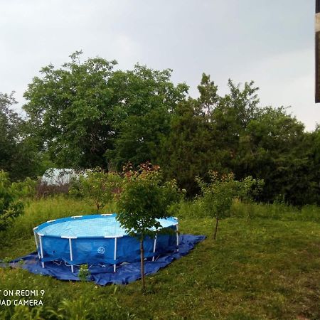 Vila Milica Kraljevo Zewnętrze zdjęcie