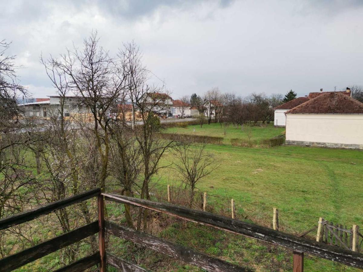 Vila Milica Kraljevo Zewnętrze zdjęcie