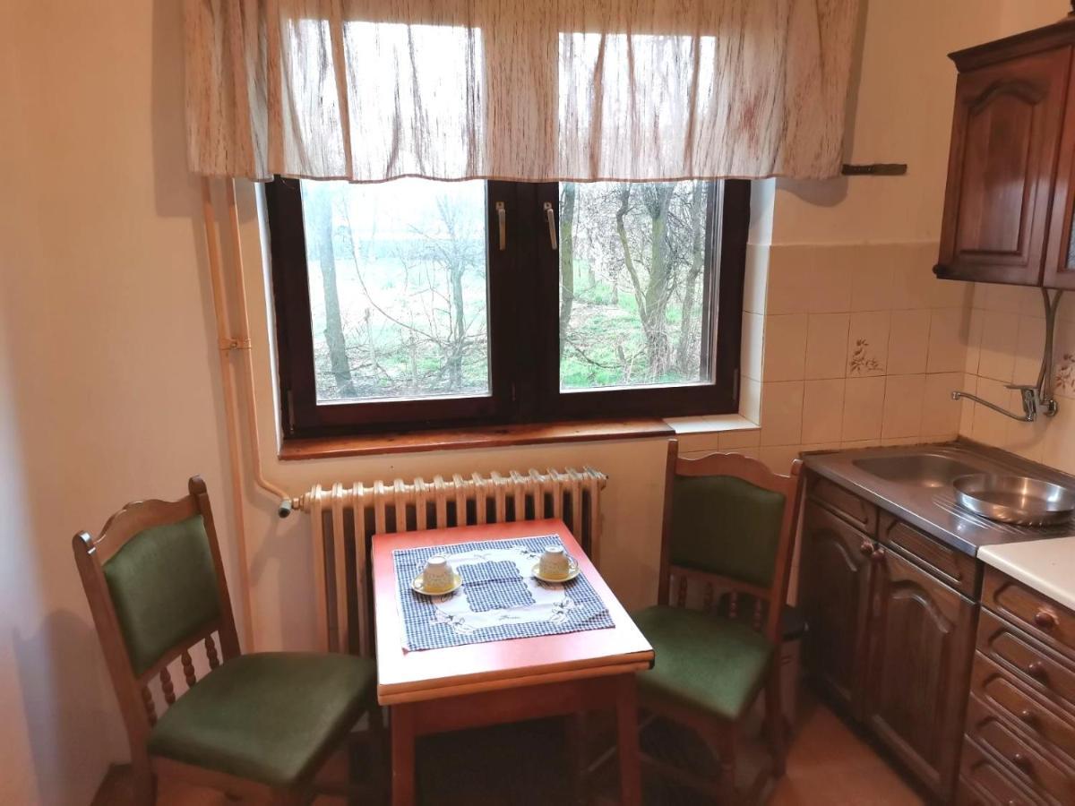Vila Milica Kraljevo Zewnętrze zdjęcie